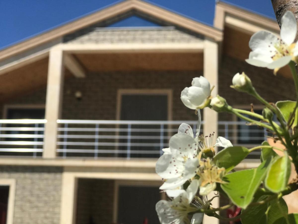 Villa Garden Shkodra Екстериор снимка